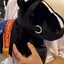 MAiNのプロフィール画像