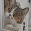 りのプロフィール画像