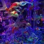 浩彰のプロフィール画像