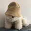mimiのプロフィール画像