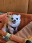 もぐちゃんのプロフィール画像