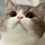 meiのプロフィール画像