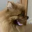 ririのプロフィール画像