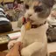 響のプロフィール画像