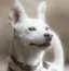 智恵子のプロフィール画像