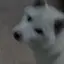 あーちゃんのプロフィール画像