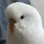 なななのプロフィール画像