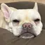 マのプロフィール画像