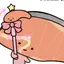 🥨のプロフィール画像