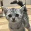 ナミのプロフィール画像
