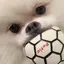 あーのプロフィール画像