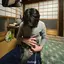 ゆうのプロフィール画像