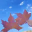 Nachiのプロフィール画像