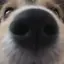 ㅎㅇㅎのプロフィール画像