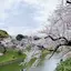 大津のプロフィール画像