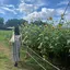 aoのプロフィール画像