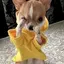 聖可のプロフィール画像