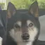 なのプロフィール画像