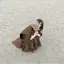 唯のプロフィール画像