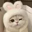 yのプロフィール画像