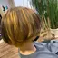 りさのプロフィール画像