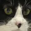 yaのプロフィール画像