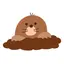 ゆのプロフィール画像