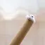 むのプロフィール画像