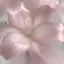 リアラのプロフィール画像