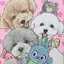 a.のプロフィール画像