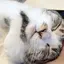 かおのプロフィール画像