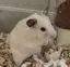 nAのプロフィール画像