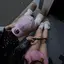 心菜のプロフィール画像
