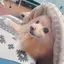 早苗のプロフィール画像
