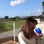 amyのプロフィール画像