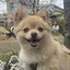 ゆづきのプロフィール画像