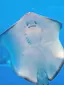 ゆかのプロフィール画像