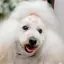 Y & Aのプロフィール画像