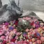 ここのプロフィール画像