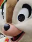 みかんのプロフィール画像