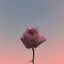 優花のプロフィール画像