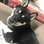 笠原のプロフィール画像