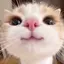 りおなのプロフィール画像