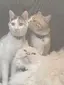 あけみのプロフィール画像