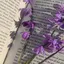 ✿のプロフィール画像