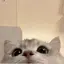 彩音のプロフィール画像