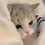 ☁️のプロフィール画像
