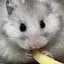 ちなのプロフィール画像
