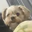 あやのプロフィール画像