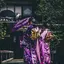 雪乃のプロフィール画像